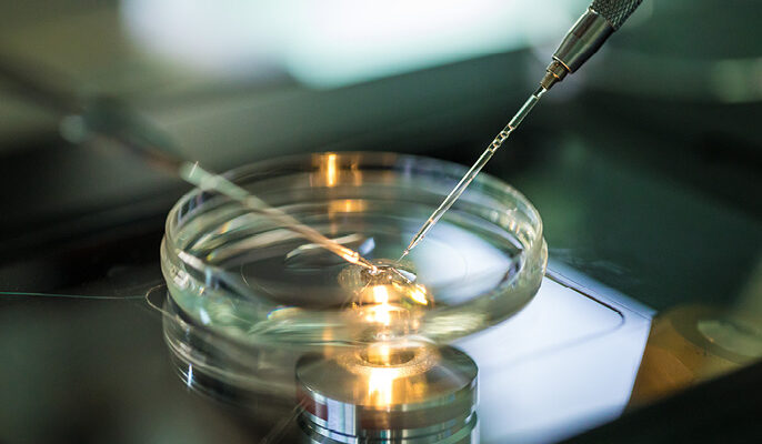 Fertilização in vitro: o que é? Como funciona?